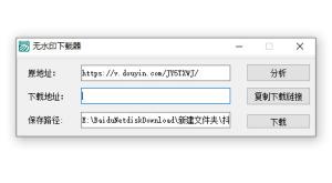 抖音无水印下载器 